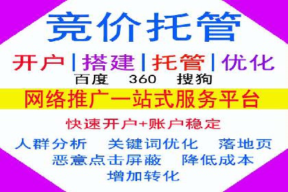 SEM服务案例：助力企业拓展海外市场